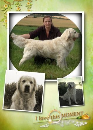 Pilliklubin Cool Traveler