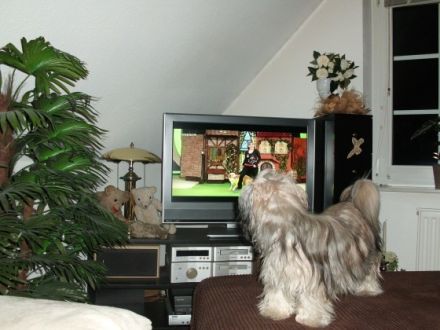 August "Keks" von Wilmas Wunder