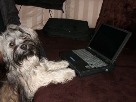 August "Keks" von Wilmas Wunder