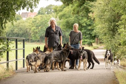 Stadtwolf-Hundetraining Mario Jessat