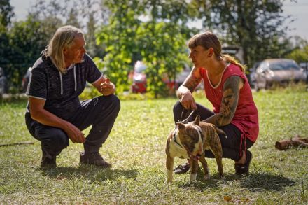 Stadtwolf-Hundetraining Mario Jessat