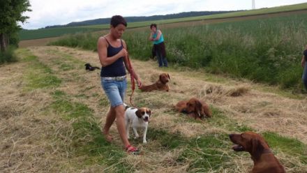 Hundeschule mal ganz anders