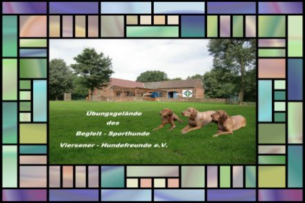 Begleit-Sporthunde-Viersener-Hundefreunde.e.V.