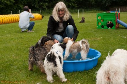 Begleit-Sporthunde-Viersener-Hundefreunde.e.V.