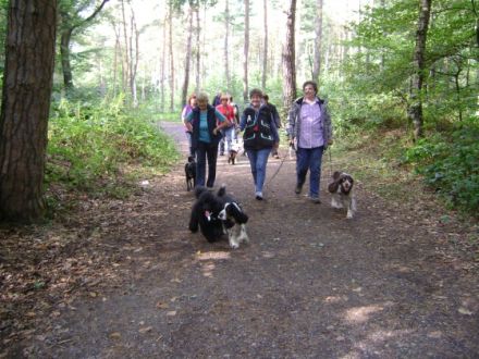 Begleit-Sporthunde-Viersener-Hundefreunde.e.V.