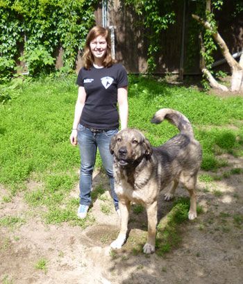 Animal Keeping Coach