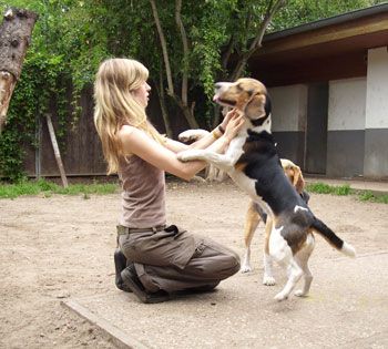 Animal Keeping Coach