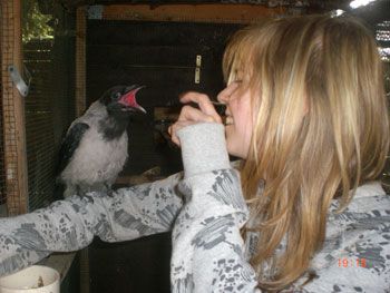 Animal Keeping Coach