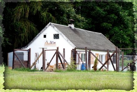 Hundetagesstätte Freiberg