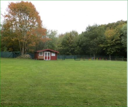 Hundeschule Amperland - im LK FFB, München, Landsb