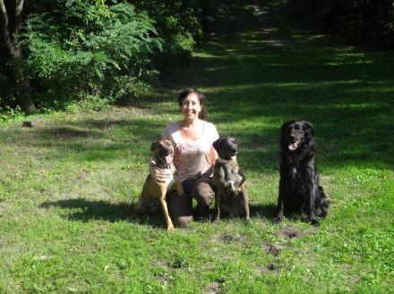 Berliner Königs-Rudel - Ausführservice / Dogwalkin