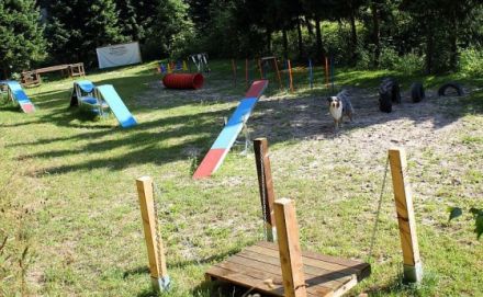 Hundeschule Pfotenranch Sellmecke