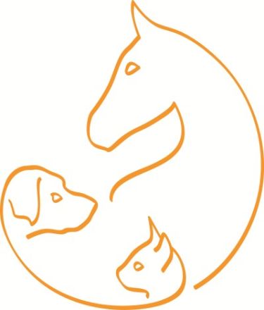 Socialdog - Tiertherapie Ravensburg