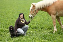 Tierphysiotherapie Peggy Meyer