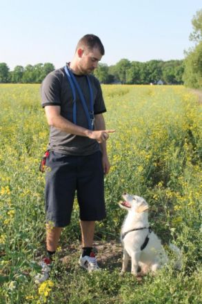 Hundetraining Adrian Linack