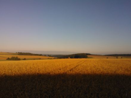 Kleinhundepension "wie zu Hause"