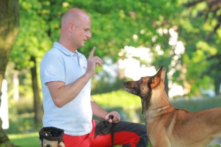Problemhundetherapeut Axel Hoge