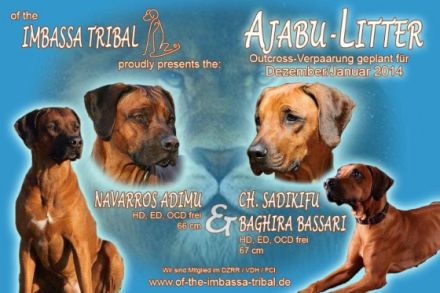 of the Imbassa Tribal