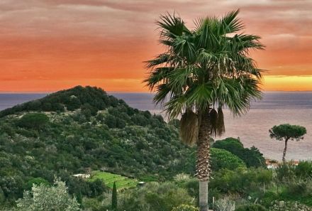 Villa Meridiana - Limoni auf der Insel Elba