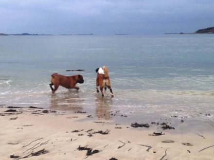 Abers - Locations, Bretagne