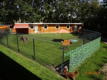 Hundepension Apolda