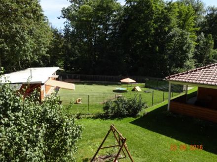 Hundepension Apolda