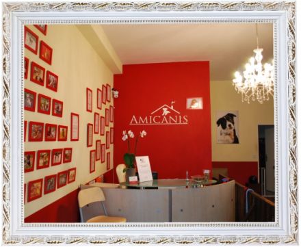 Hundehotel & Hundepension Amicanis