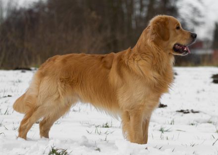 Back to the Roots Joker vom Nonnenbach