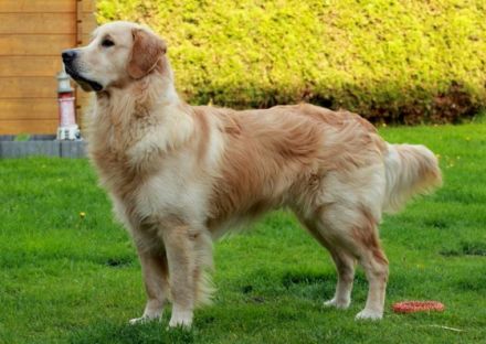 Back to the Roots Joker vom Nonnenbach