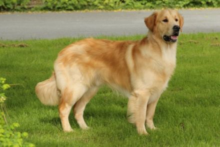 Back to the Roots Joker vom Nonnenbach