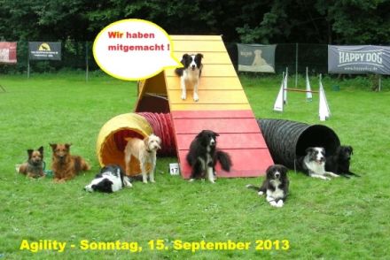 Verein der Hundefreunde Worms e.V.