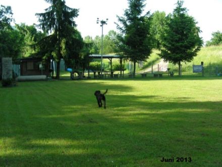 Verein der Hundefreunde Worms e.V.
