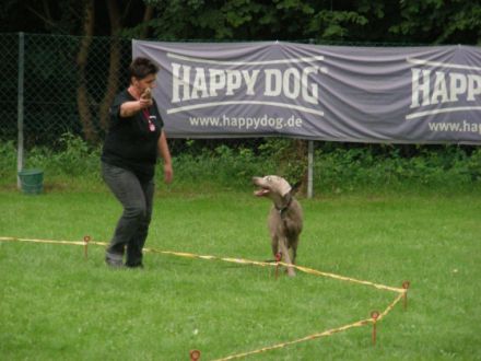 Verein der Hundefreunde Worms e.V.