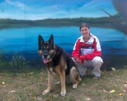 Mobile Tierheilpraxis Nadine Feid