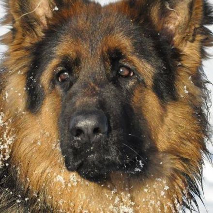 vom Hitzenthaler-Hof