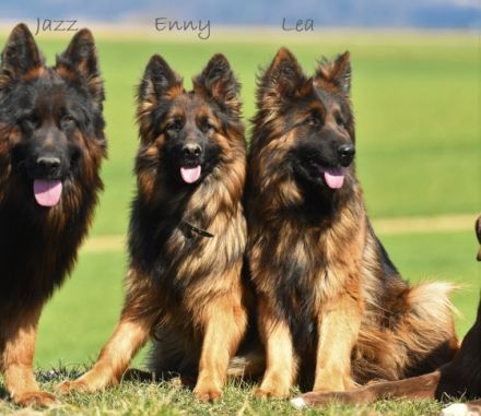 vom Hitzenthaler-Hof