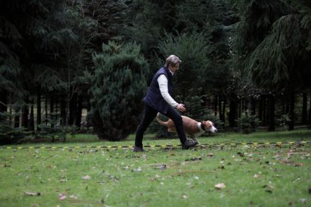 Hundeschule Podenco & Co. Nadja Kämper