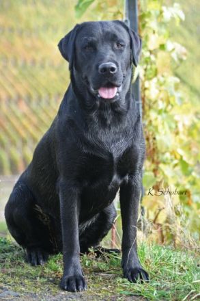 BUTKUS-Casper vom Kannenbäckerland