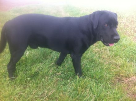 BUTKUS-Casper vom Kannenbäckerland