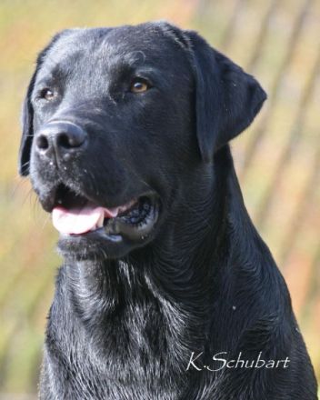 BUTKUS-Casper vom Kannenbäckerland