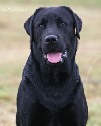 BUTKUS-Casper vom Kannenbäckerland