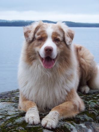 DC-Miracle´s Heartbreaker