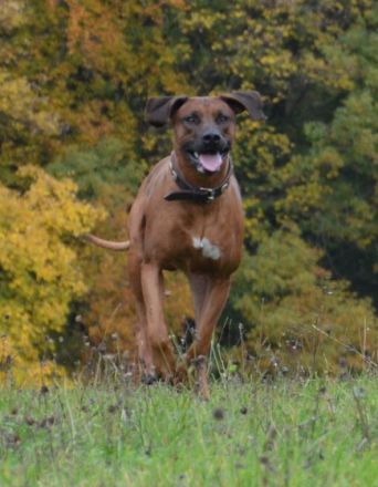 Fabayo Bahiri Kianga Bahari