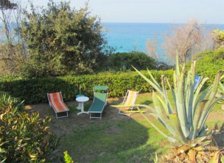 Appartamenti Laura - Bougainvillea auf Elba
