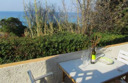 Appartamenti Laura - Bougainvillea auf Elba