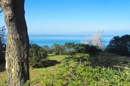 Appartamenti Laura - Casa Viola auf Elba