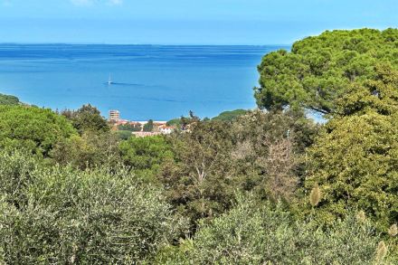 Ferienhaus Insel Elba für bis zu 4 Personen Casa Mulino