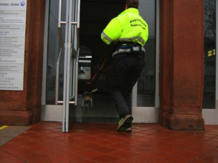 Suchhundeschule SaarPfalz