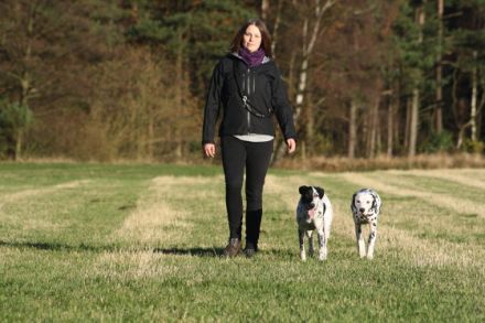 EinBraverHund - mobiles Hundetraining