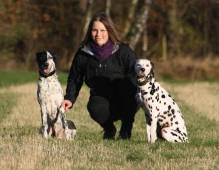 EinBraverHund - mobiles Hundetraining